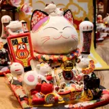 福缘猫 Магазин Dashan Catal Cat японская хирургия мебель