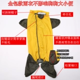 Собака с четырьмя легтя