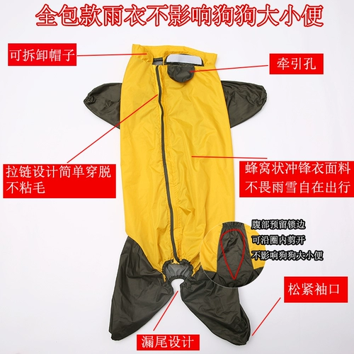 Собака с четырьмя легтя