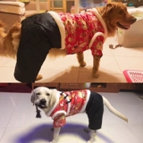 Yiyi  览 览 览   笮 笮 笮 笮 蠊钒 蠊钒 蠊钒 蠊钒 蠊钒 蠊钒 蠊钒 蠊钒 蠊钒