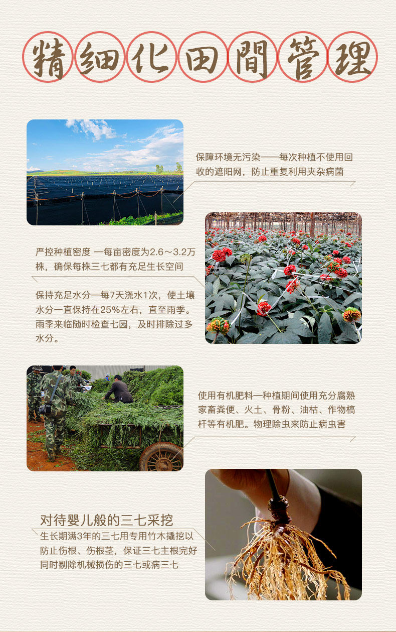 云南白药 三七超细粉 2g*30袋 提高免疫力 图9