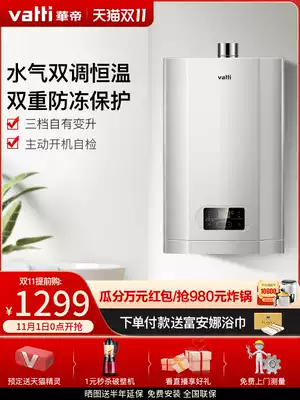 Vantage gas water heater household gas i12061 gas water heater household bath flagship store 13 liters