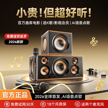 Jinyun Family Ktv Audio Set Integrated Microphone Smart Karaoke Machine Wireless Microphone for Singing Karaoke