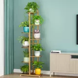 铁艺花架轻奢多层室内客厅绿萝花架子阳台多肉吊兰落地花盆置物架