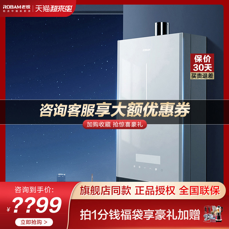 Boss gas water heater Wasgas home Electric intelligent frequency conversion thermostatic bath Anti-freeze 14 l 602