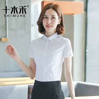 Маленький воротник белый (короткий рукав)