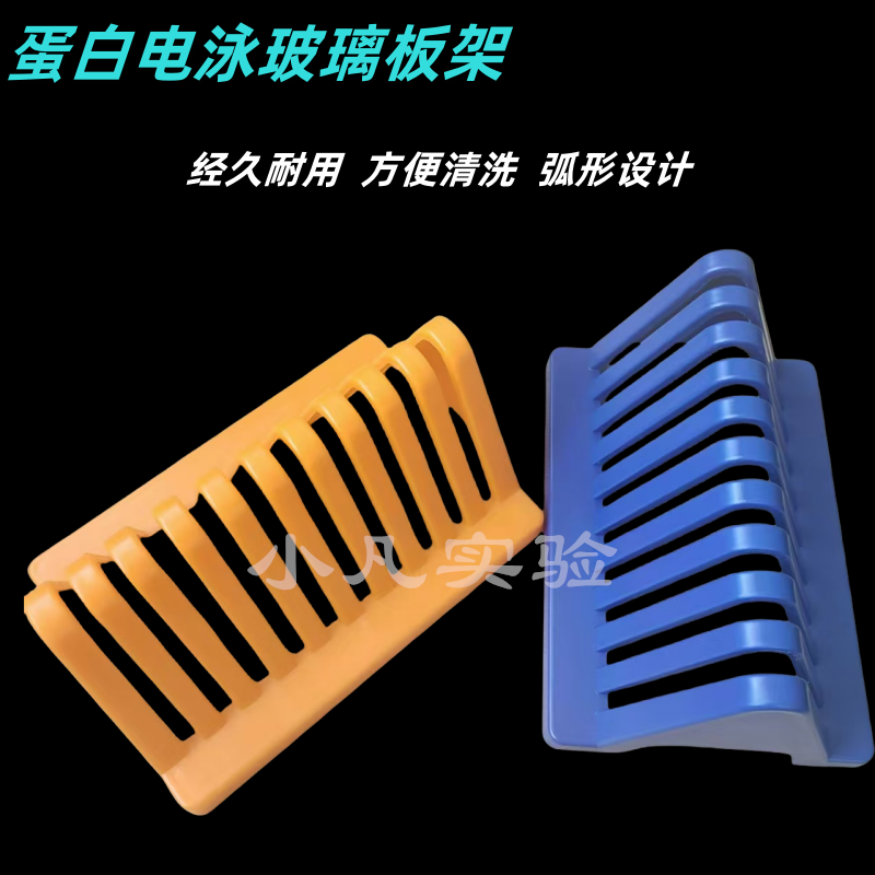 玻璃沥水架 WB蛋白电泳制胶用玻璃板晾片架 伯乐电泳玻璃板架