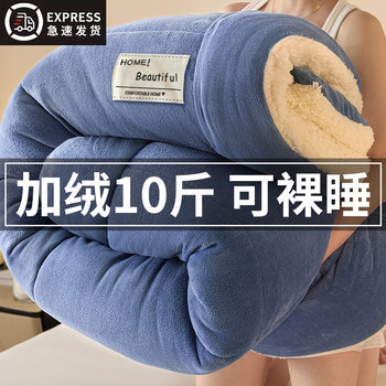 2026 New Lamb Wool Quilt Winter Cotton Quilt Core Winter Dormitory Single Bed Autumn and Winter Quilt Thickened and Warm 5kg