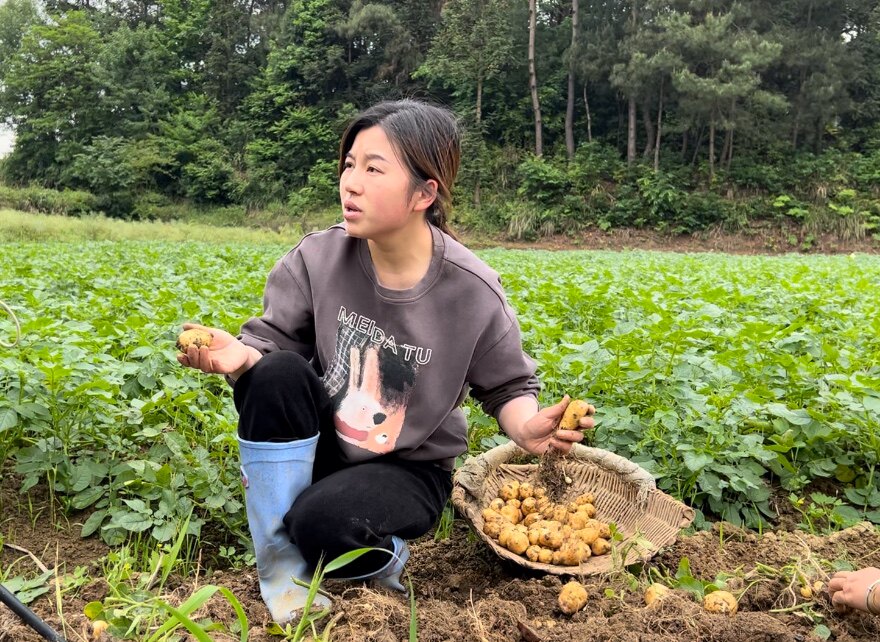 农村家园杨宇霞