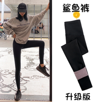  Shark skin leggings womens pants to wear outside autumn and winter plus velvet thickening tight skinny leg pressure stretch yoga barbie pants