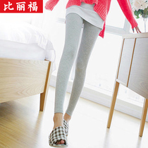 Gray leggings womens outer wear spring and autumn thin section 2020 summer new Korean version of the wild thin slim small feet nine points