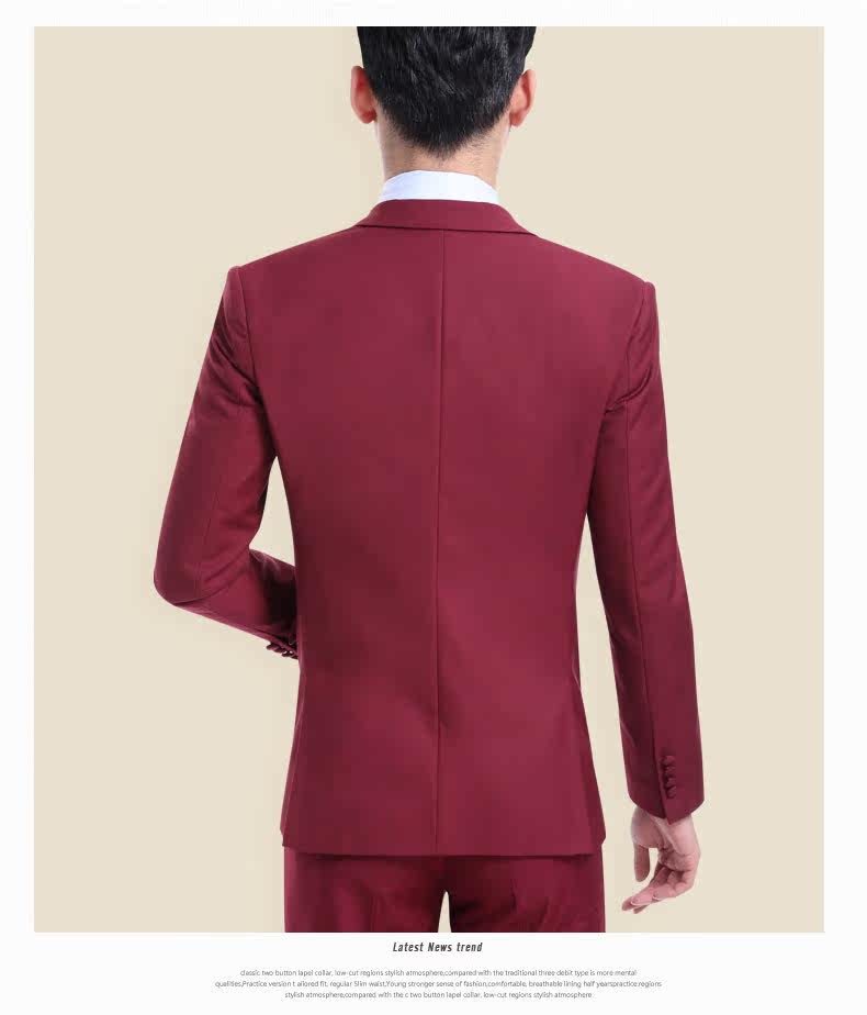 Costume homme en polyester pour printemps - Ref 1550928 Image 27