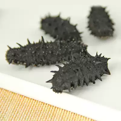 (Guarantee) Dalian sea cucumber wild dry 50g Zhangzidao 8 years soaking 500 grams dry goods Liaoshen special price