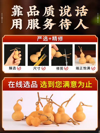 Natural Gourd Toy with a Dragon Head, Chubby Hand-Twisted Plaything, Small Exquisite Wild Gourd Mini Home Decoration for the Living Room