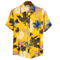 Adisputent 2020 New Summer Mens Hawaiian Shirts Funny Prin