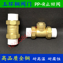PPR Brass Check valve water pipe water meter DN15 20 25 check valve 4 6 minutes 1 inch vertical horizontal check valve