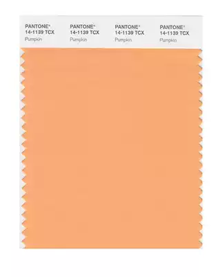 Cotton cloth card PANTONE PANTONE clothing home 14-1139 to 14-131313tcx single cotton plate color card