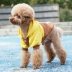 Teddy dog ​​quần áo mùa đông hơn gấu áo len mùa thu và mùa đông Bomei puppy pet quần áo mùa thu chó con mèo mùa hè - Quần áo & phụ kiện thú cưng