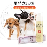 Индукционный агент поставляет домашних животных, чтобы побудить туалет туалета для туалета для собак, чтобы найти и исправить дерьмо, чтобы направлять