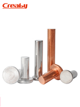 Flat head aluminum rivets 304 stainless steel solid rivets flat rivet rivets GB109 copper hand hammered rivets