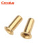 Copper hollow cornb rivet hollow copper rivet single-machine tube via hole rivet punch tool M2M3M4M5M6