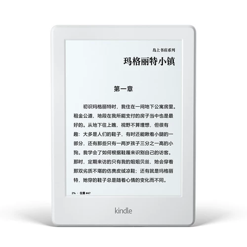 Отремонтированная аутентификация intepling -level e -book Reader (2016)