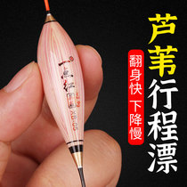 Reed stroke float jujube core type raised mouth crucian carp float high sensitivity extended tail section small broken eye pigeon egg fish float