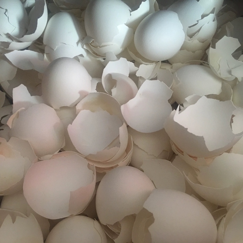 Lacquered egg shell white chicken egg shell clean 20-5000 grams of paint lacquered with eggshell painted material