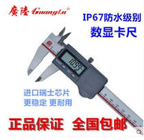 Wide land IP67 waterproof greaveproof electronic number graphics card size stainless steel Swiss chip 110-801