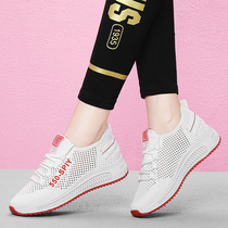 Spring and autumn and summer net shoes womens breathable mesh 2021 new casual sports shoes large size 41 mesh white travel shoes
