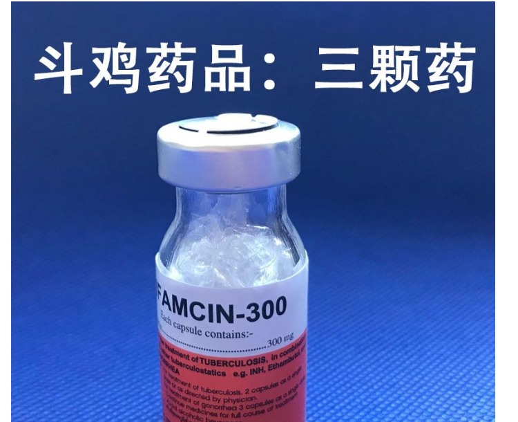 Gà chiến đấu giảm đau sưng gà huấn luyện thuốc gà chọi huấn luyện cung cấp gà chọi lồng thuốc gà chân thuốc sưng - Chim & Chăm sóc chim Supplies cám cho chim chào mào	