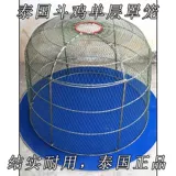 Борьба с курицами борьба с курицей складывающейся клетки, борьба с курицей куриной курицей -сингл -слоя, бегущие куриные поставки, сражаясь с курицей, сражаясь с курицей