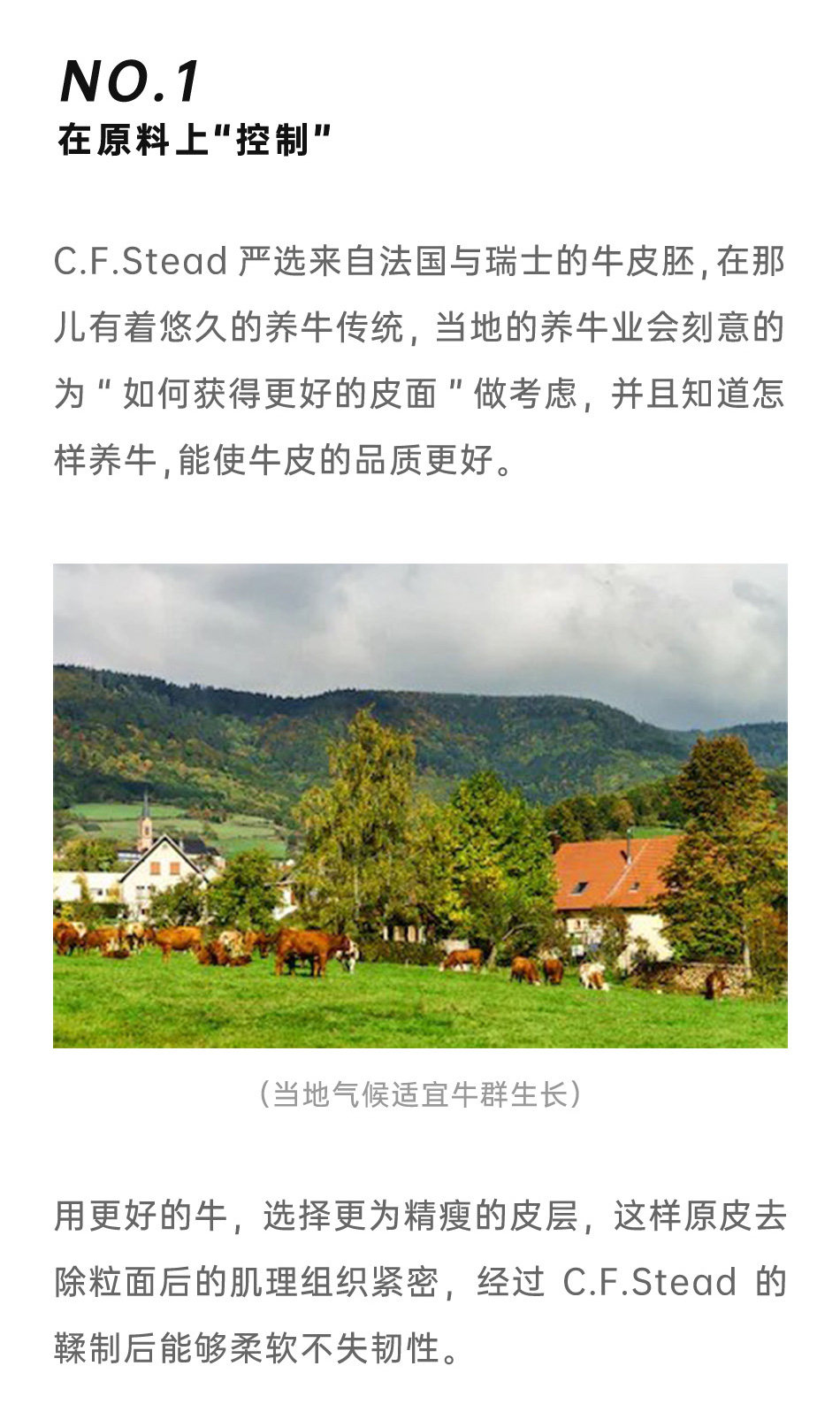 Челси сапоги 玩儿·反绒切尔西 英国c.f.stead翻毛牛皮 覆古绅士靴 Playing tired child