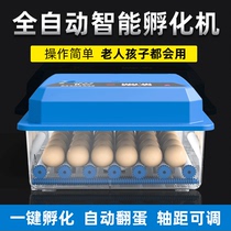 Incubator small household automatic intelligent incubator box parrot egg incubator egg incubator