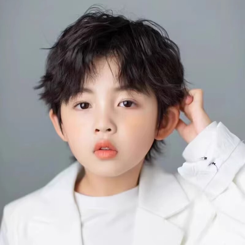 Wig for Boys with Curly Hair, Stylish and Fashionable for Photoshoots and Performances, Natural and Breathable, Foil Perm Short Hair, Full Head Style