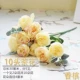 Бургундия 10 Камелия шампанское