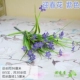 Добро пожаловать в Spring Flowers Purple