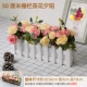 50 см заборов Camellia Sunset Забор Гибкая комбинация помещена