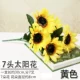 Lotus Color 7 подсолнухи