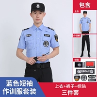 Синяя футболка, штаны, короткий рукав