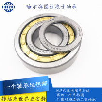 Harbin cylindrical roller bearing N NF NUP 2315 2316 2316 2318 2318 2319 EM