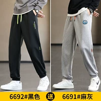 6692 черный +6691 Моти пепел