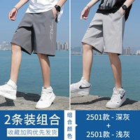 2501 Deep Grey +2501 светло -серый