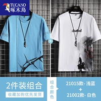 21015 светло -голубой +21002 белый