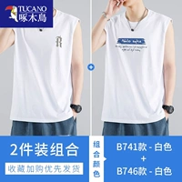 B741 White+B746 White