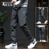 Мужские зимние дорожные удерживающие тепло бархатные штаны с пухом, увеличенная толщина, утиный пух