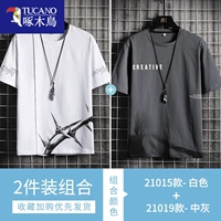 21015 белый +21019 серой