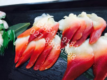 Japanese cuisine sashimi izakaya sashimi platter seafood platter m size arctic shell 1KG