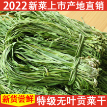 Special Grade Gondish Dry 2022 New stock No leafy dry Tweed farmhouse Tut produce Fresh Gundish louder lettute 500g