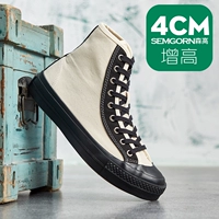 Бежевый на 4 см выше